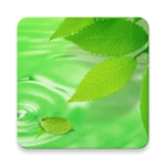 Logo of 3D Leaves Live Wallpaper android Application 